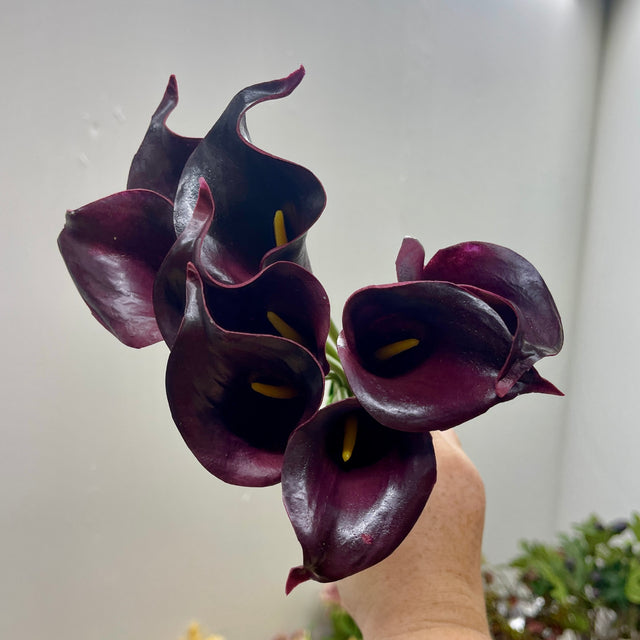 14" Aubergine Mini Calla Lily Bundle | Set of 8 Blooms