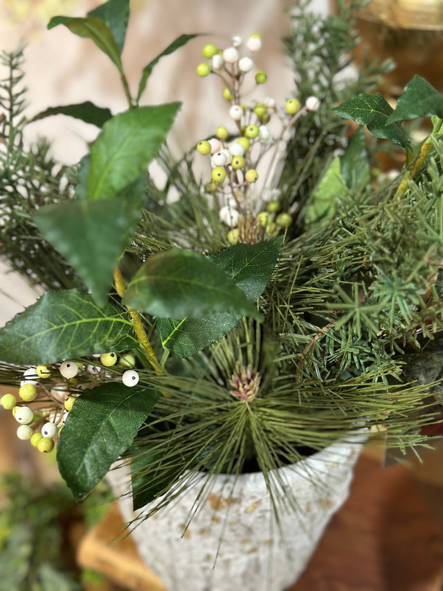 Pine Berry in pot arrangement 15”