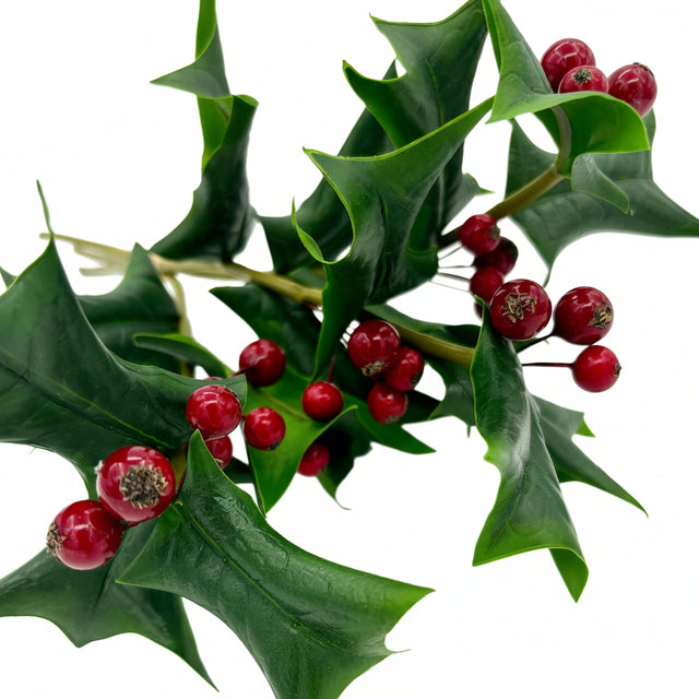 12" Fresh Cut Holly Sprig Bundle