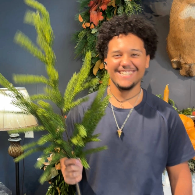 36" Real Touch Forest Norfolk Pine Spray