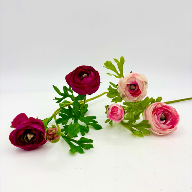 RANUNCULUS W BUDS STEM MAGENTA