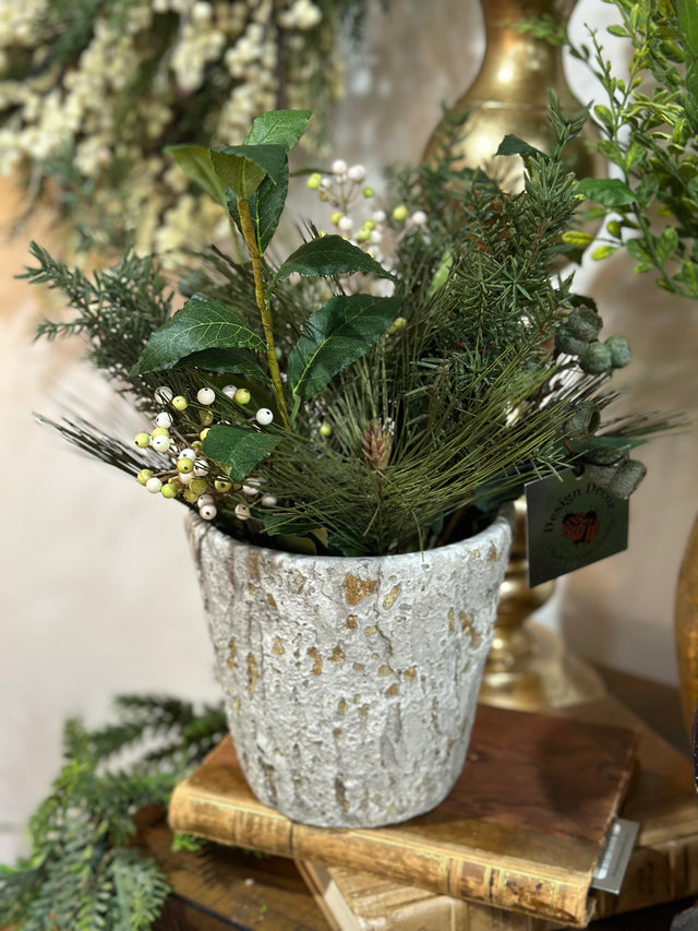 Pine Berry in pot arrangement 15”
