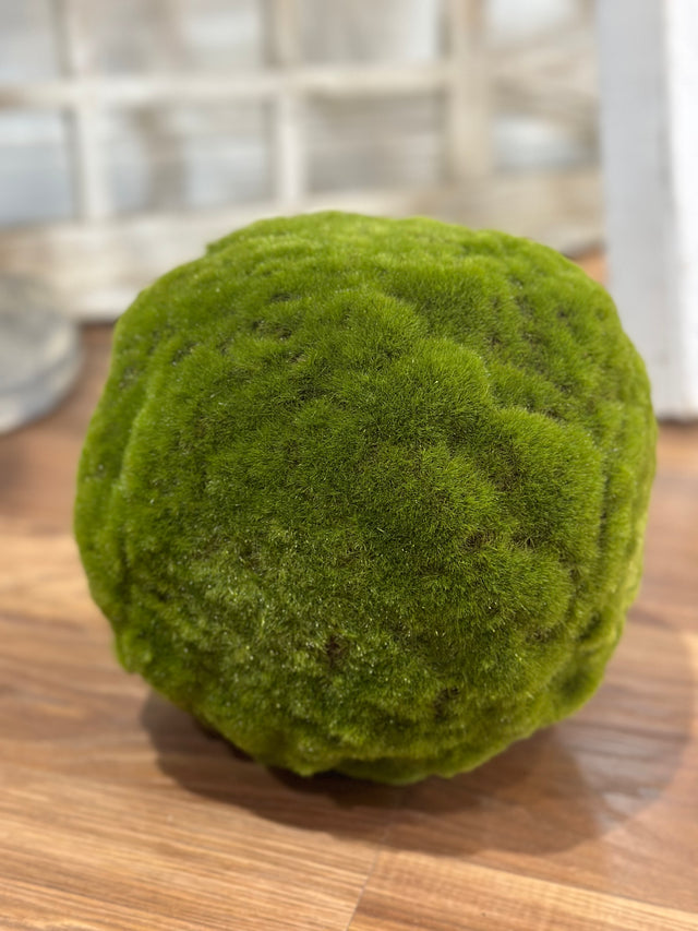 9" Green Medium Moss Ball