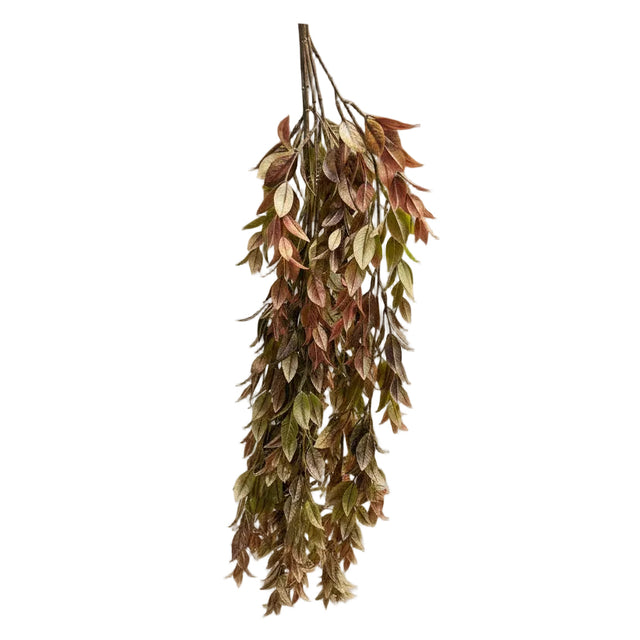 30" Copper Ruscus Hanging Bush