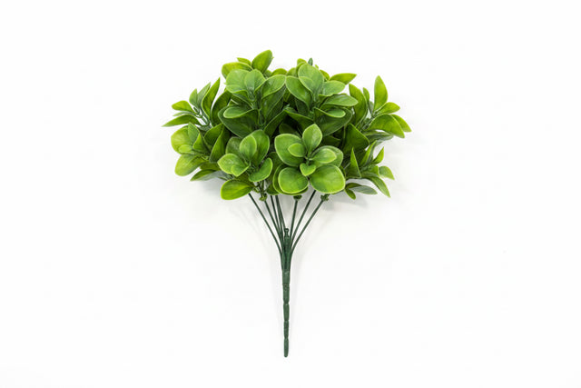 14" UV Protected Jade Leaf Bush