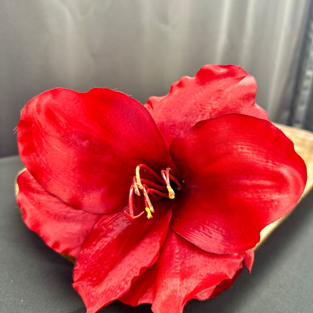 26" Red Amaryllis Stem