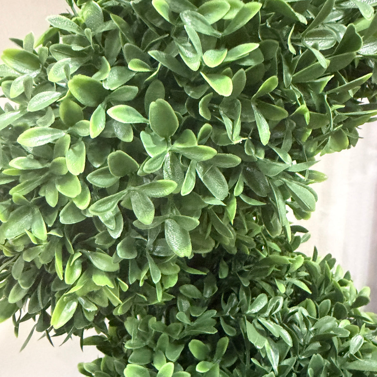 72" Artificial American Boxwood Spiral Top Bush | UV Proof & Potted