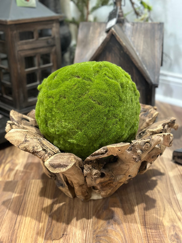 9" Green Medium Moss Ball