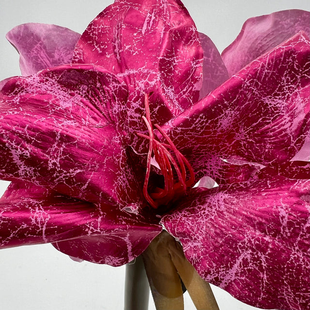 21" Metallic Hot Pink Fantasy Amaryllis Stem