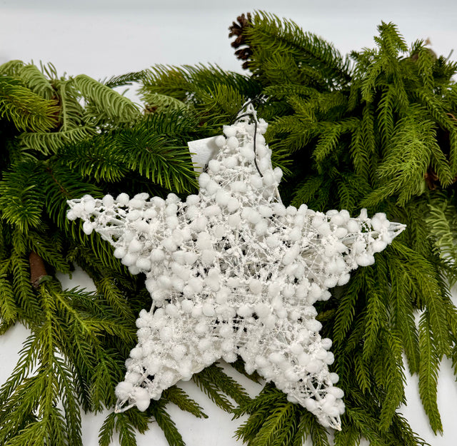 10" White Puff Ball Star Ornament With Glitter & Mica