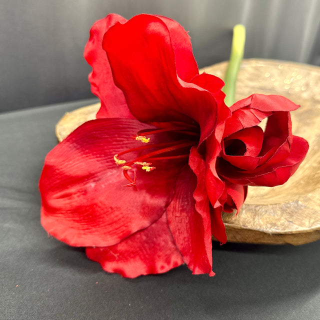 26" Red Amaryllis Stem