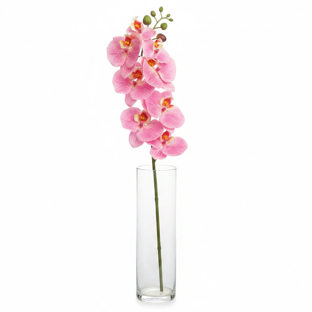 Natural Touch Phaleanopsis Orchid, Pink or White, additional view