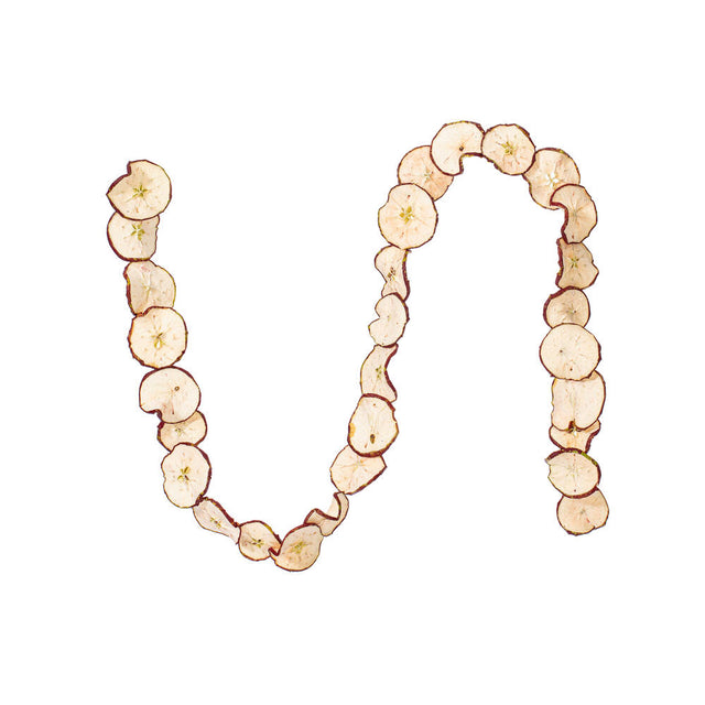 10ft Natural & Dried Sliced Apple Garland