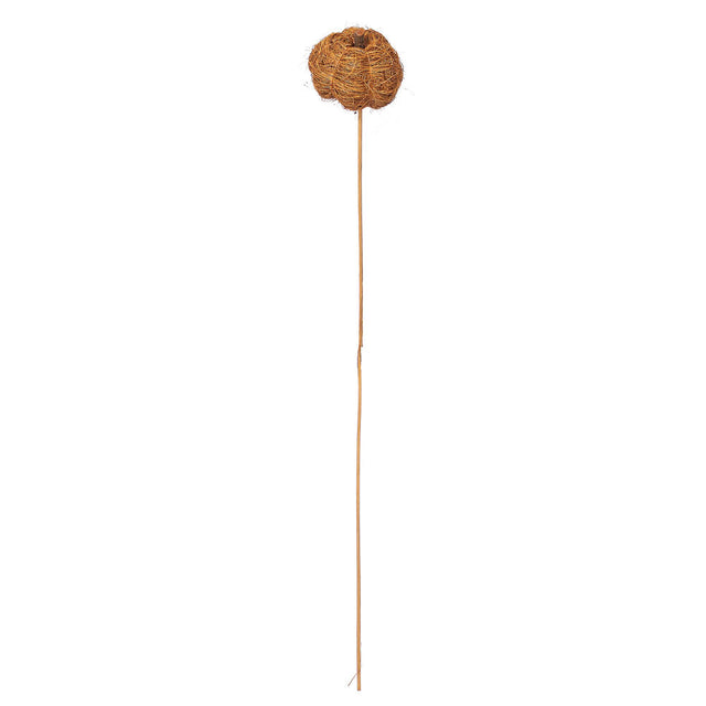 Natural Coconut Coir Pumpkin on 20" Stem | Orange or Cream