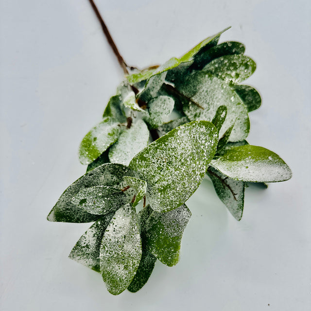 18" Frosted Lambs Ear Pick
