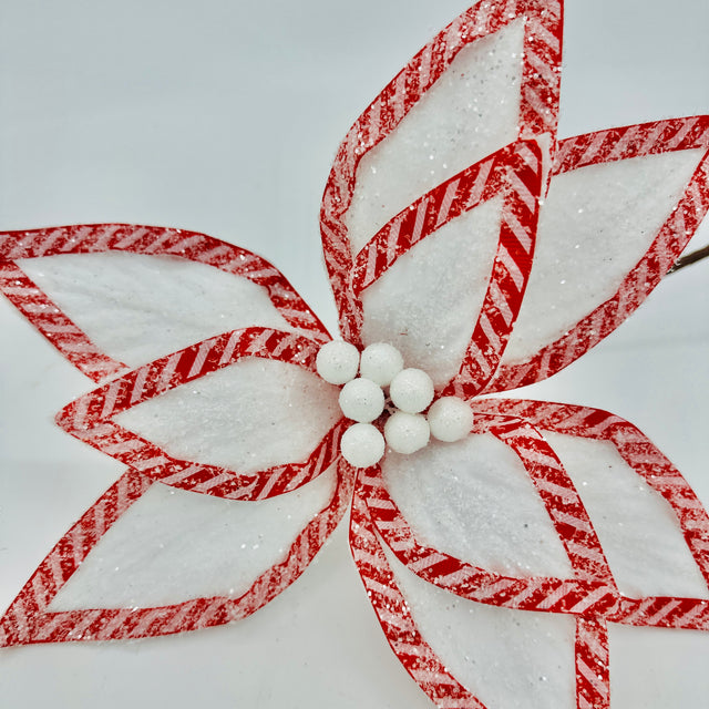 14" White Frosted Velvet Poinsettia with Candy Cane Border