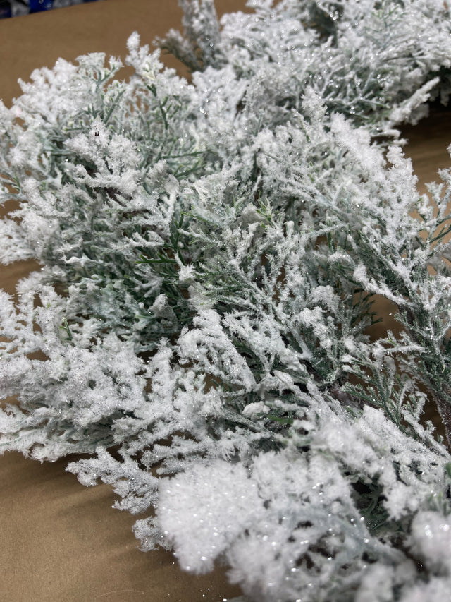 24” Snowy Acadia Cedar Wreath