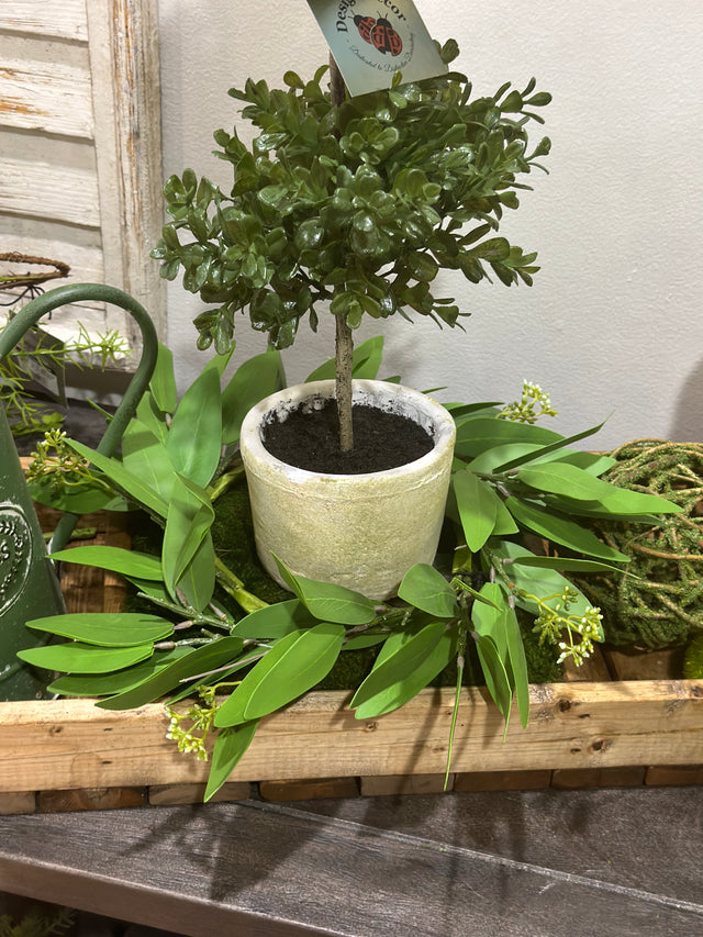6" Eucalyptus Green Candle Ring