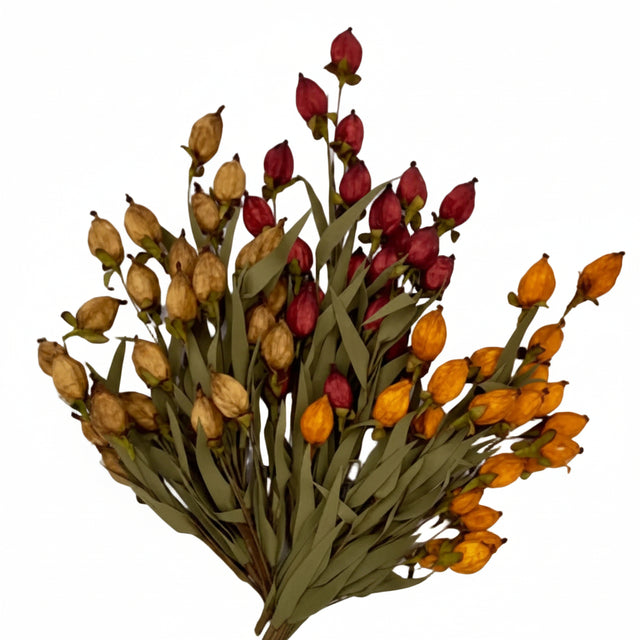 21" Chinese Lantern Stem | Available in Burgundy, Cream, and Orange
