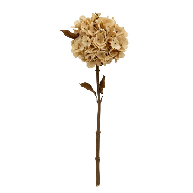 14 inch Cream Hydrangea Stem