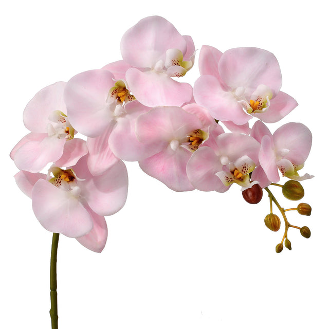 34" Natural Touch Phaleanopsis Orchid | Pink or White