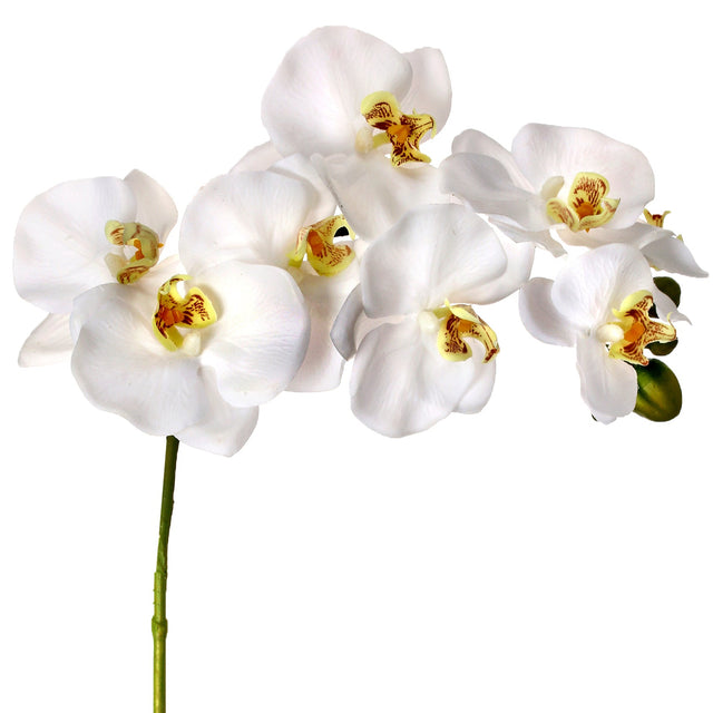 34" Natural Touch Phaleanopsis Orchid | Pink or White