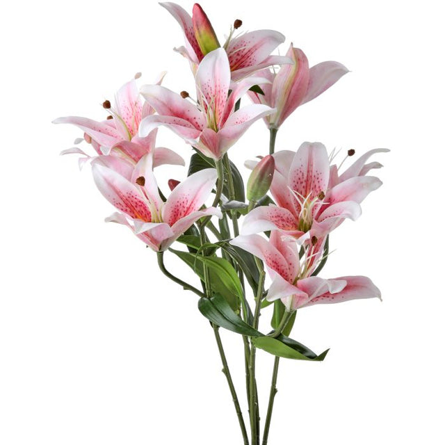 20" Natural Touch Rubrum Lily Plant
