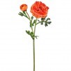 19" Just Cut Cloony Ranunculus Bloom + Bud | Orange