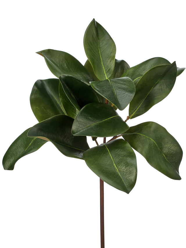 16" Natural Touch Magnolia Leaf Spray