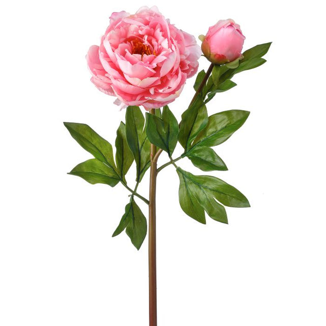 25" Just Cut Garden Peony & Bud | Pink OR White