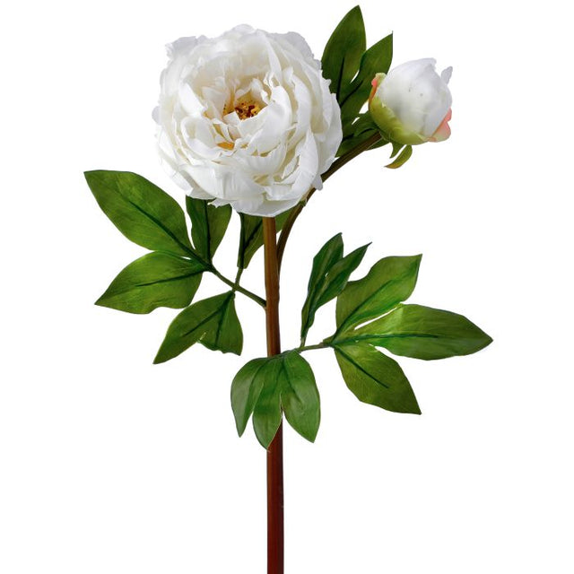 25" Just Cut Garden Peony & Bud | Pink OR White