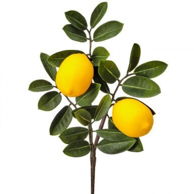 20" Double Lemon Pick