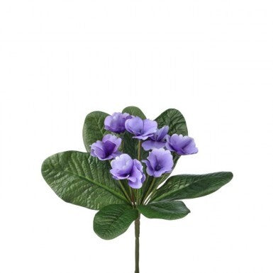 8" African Violet Plant | UV Treated | Lavender Pink Purple
