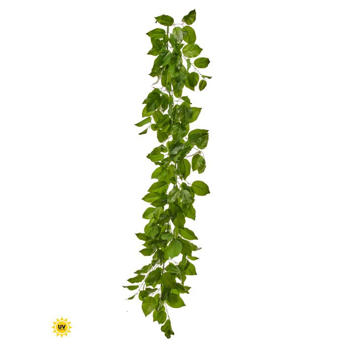 60" UV-Treated Salal Leaf Garland