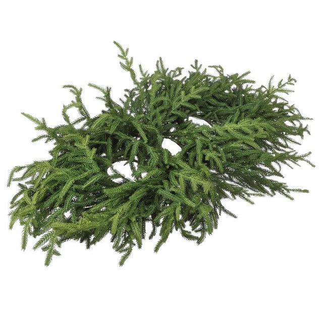 36" Norfolk Pine Centerpiece