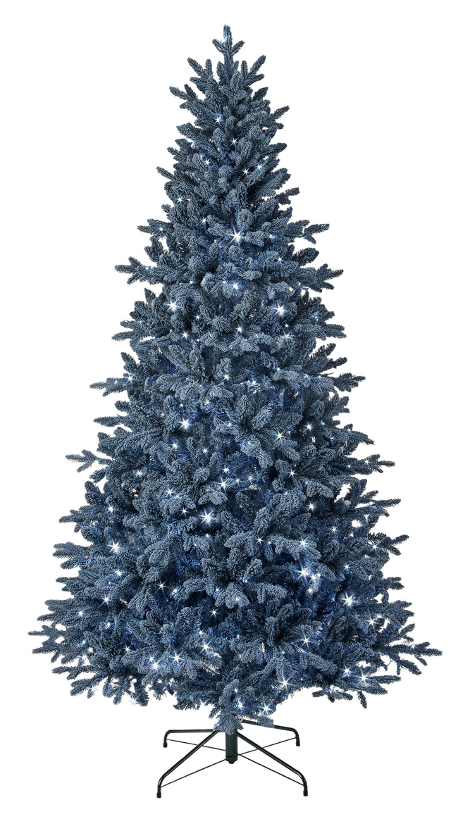Blue Bavarian Spruce Tree | Available in 7.5' and 9'
