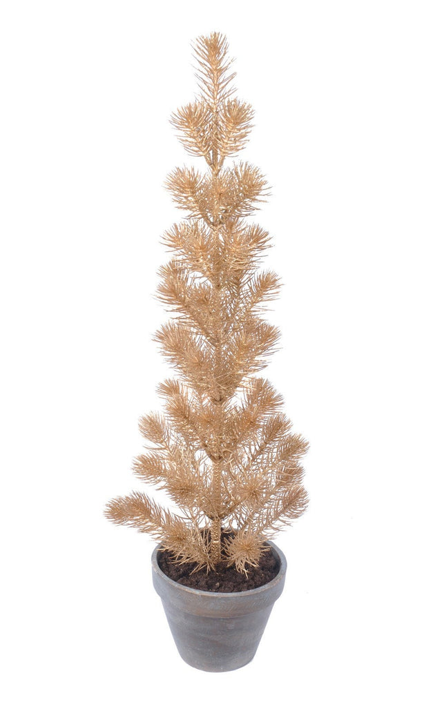 PINE POTTED 26"