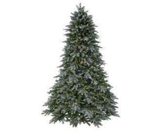 7.5' Frosted Colonial Spruce Tree LED Lights