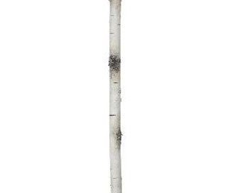 72" 30MM "D" Wired Foam Birch Branch Garland