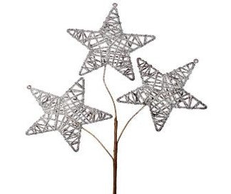 22" Frosted Triple Twig Star Spray