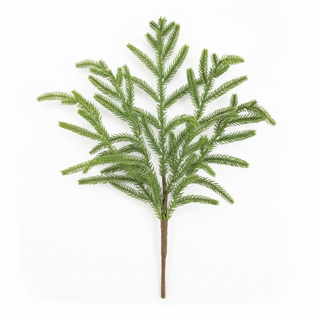 Artificial norfolk pine tree branch on a white background
