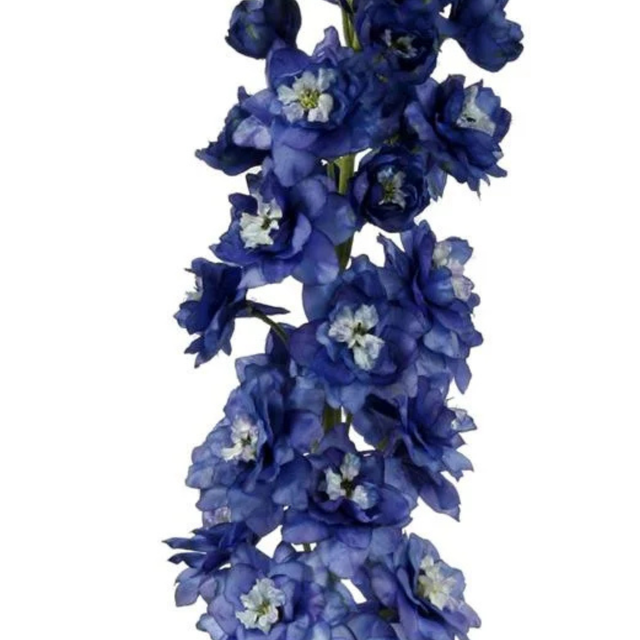 47" Blue Delphinium Flower