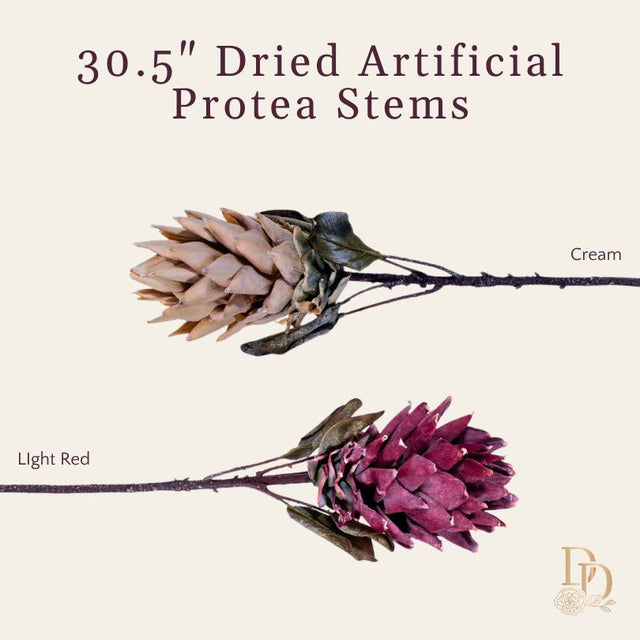 30.5" Dried Artificial Protea Stem | Light Red or Cream