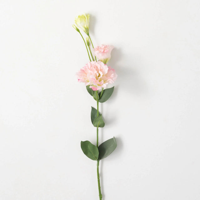 35" Pink Lisianthus Spray
