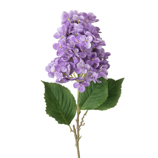 Purple Cone Hydrangea Spray
