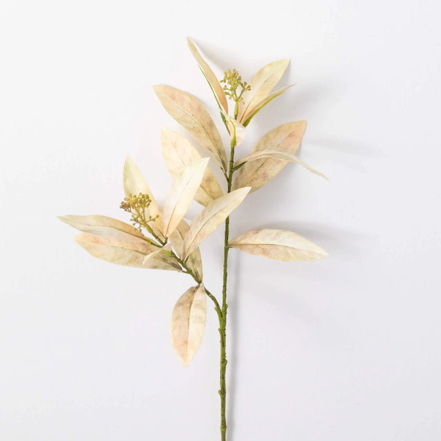 28" Leaf Seed Spray | Amber, Brown, or White/Gray