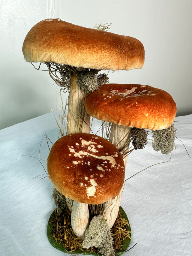 Mushroom Polyester velvet grass