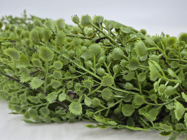 32" Hanging Maiden Hair Greenery Spray
