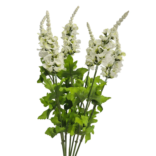 20" Cream Delphinium