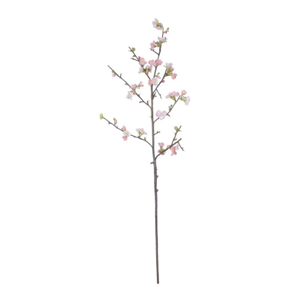 gb85307n pka_lg cherry blossom